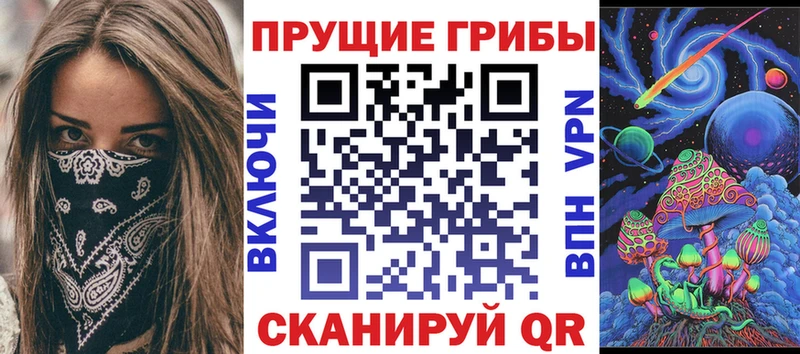 Купить  Шелехов  Псилоцибиновые грибы Cubensis 