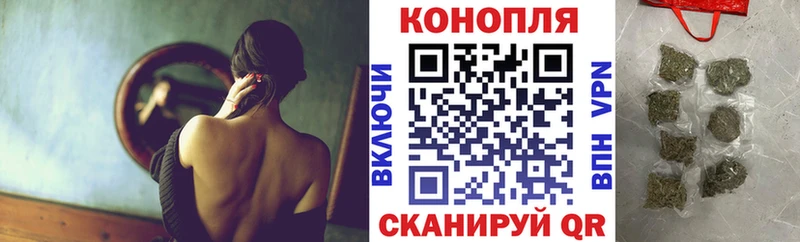 Купить закладки  Шелехов  Конопля сатива 